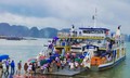 Từ 10h hôm nay, Quảng Ninh tạm ngừng cấp phép tàu hoạt động trên biển