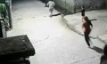Video bé trai 4 tuổi nhanh trí cứu em thoát nạn khi rơi xuống mương nước sâu