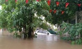 Bão số 7 suy yếu thành áp thấp nhiệt đới, miền Bắc sắp
mưa lớn