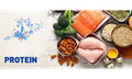 Vai trò của protein trong kiểm soát cân nặng