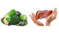 Những thực phẩm giúp gan hoạt động tốt hơn mà ít người để ý