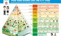Dinh dưỡng học đường theo tháp dinh dưỡng: Nền tảng cho thể lực, trí lực và tầm vóc tương lai