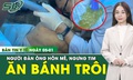 Bản tin Y tế 5/1: Ăn bánh trôi nước, người đàn ông hôn mê, ngưng tim đột ngột 