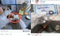 Chiêu trò livestream ‘mở ngọc trai’: Hứa lãi tiền tỷ, coi chừng sập bẫy mất trắng