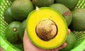 8 thực phẩm giúp chị em chăm sóc làn da mùa hanh khô