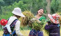 Vẻ đẹp bình dị của người phụ nữ Việt Nam: Từ phố thị đến vùng cao