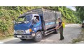 Giấu dịch, bán chạy lợn bệnh sẽ bị xử lý nghiêm