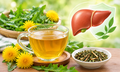 7 lợi ích tiềm năng của trà bồ công anh đối với sức khỏe