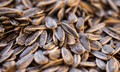 Vì sao không nên ăn quá nhiều hạt hướng dương khi giảm cân?