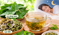 4 bài thuốc từ lá vông nem chữa mất ngủ