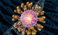 Virus ảnh hưởng đến 60% dân số thế giới chứa manh mối về nguy cơ mắc Alzheimer