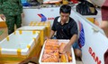 Lộ đường đi của 700 kg trứng gà non từ Trung Quốc vào Việt Nam