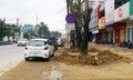Truy tố ông chủ Công ty Cây xanh Công Minh hưởng lợi  hơn 264 tỉ đồng