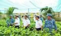 Thêm 4.000 cây giống để ‘xanh hóa Trường Sa’