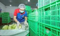 MM Mega Market Việt Nam phát triển bền vững chuỗi cung ứng nông sản an toàn
