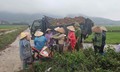 Không khí lạnh có cường độ ổn định, Trung Bộ mưa rất lớn