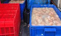 Ô tô chở 820kg lòng lợn bốc mùi hôi thối ở Phú Thọ