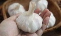 Ăn tỏi mỗi ngày có lợi gì?
