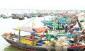 Rút ngắn chuyến biển, ngư dân Hà Tĩnh háo hức chờ ngày bỏ phiếu
