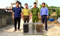 Bắt được hai cá thể khỉ quý hiếm đi lạc, người đàn ông vội giao nộp cho công an