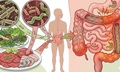 Dễ mắc nhiễm khuẩn đường ruột trong mùa hè từ thói quen ăn đồ sống