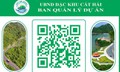 Cát Bà số hóa du lịch thông qua QR hỗ trợ tìm đường, bãi đỗ, gửi xe