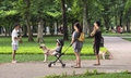 Dạo công viên trong nỗi thấp thỏm vì chó không rọ mõm
