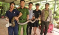 Phát hiện trăn đất nặng 14kg bất ngờ bò vào nhà dân ở Tây Ninh