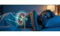 Cách bảo vệ thận khỏe mạnh theo thời gian