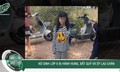 Tối 19/5: Bị nghi ngờ 'cướp người yêu', nữ sinh lớp 6 bị hành hung, bắt quỳ gối lau chân ở Đắk Lắk