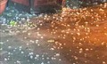 Hà Nội: Mưa đá bất ngờ tối 2/5, cảnh báo dông lốc diện rộng