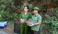 Thả 5 cá thể động vật nguy cấp, quý hiếm vào rừng ở Đắk Lắk