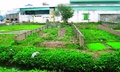 Chuyển đất vườn sang đất ở được tính tiền sử dụng đất ưu đãi ra sao?