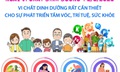 Vi chất dinh dưỡng rất cần thiết cho sự phát triển tầm vóc, trí tuệ, sức khỏe