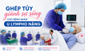 Ghép tủy giành sự sống cho bệnh nhân u lympho từng 'trắng' miễn dịch