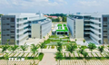 Thành lập phân hiệu, sáp nhập một số trường cao đẳng vào đại học