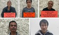 Triệt phá nhóm ‘cẩu tặc’ chuyên nghiệp, trộm hơn 120 con chó trong 5 tháng