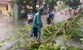 Dông lốc làm 1 người bị thương, nhiều nhà dân tốc mái ở Huế