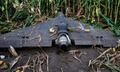 UAV phản lực Nga tăng tốc khiến Ukraine chỉ còn biết bám đuổi