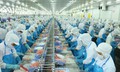 Cổ phiếu VHC được kỳ vọng tăng 5%