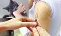 Nguy cơ bệnh dại gia tăng mùa nắng nóng, cần tiêm phòng ngay khi bị chó mèo cắn
