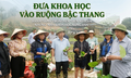 Đưa khoa học vào ruộng bậc thang, hành trình trồng sen trên núi của những ‘nhà khoa học nông dân’