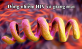 Đồng nhiễm HIV và giang mai: Tầm soát định kỳ để ngăn chặn biến chứng tổn thương thần kinh