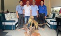 Bảo tàng ở Huế tiếp nhận tiêu bản động vật hoang dã quý hiếm