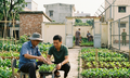 Người cải tạo không giam giữ vi phạm quy định có thể bị chuyển sang phạt tù