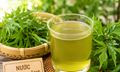 Hướng dẫn nấu nước lá đinh lăng đúng cách
