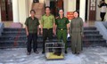 Người dân Hải Phòng giao nộp nhiều động vật quý hiếm