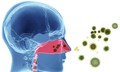 Bệnh hô hấp ở trẻ em mùa tựu trường, cha mẹ cần lưu ý gì?