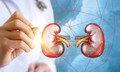 Sỏi tiết niệu ở trẻ: Phát hiện muộn có thể ảnh hưởng chức năng thận