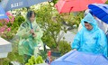 Xúc động những cụ bà Hà Nội 'đội' mưa vượt gần 100 km đến nghĩa trang để thực hành lễ Vu Lan